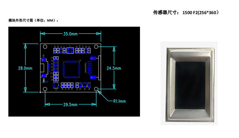 EST-FP1500指纹采集仪模块尺寸图